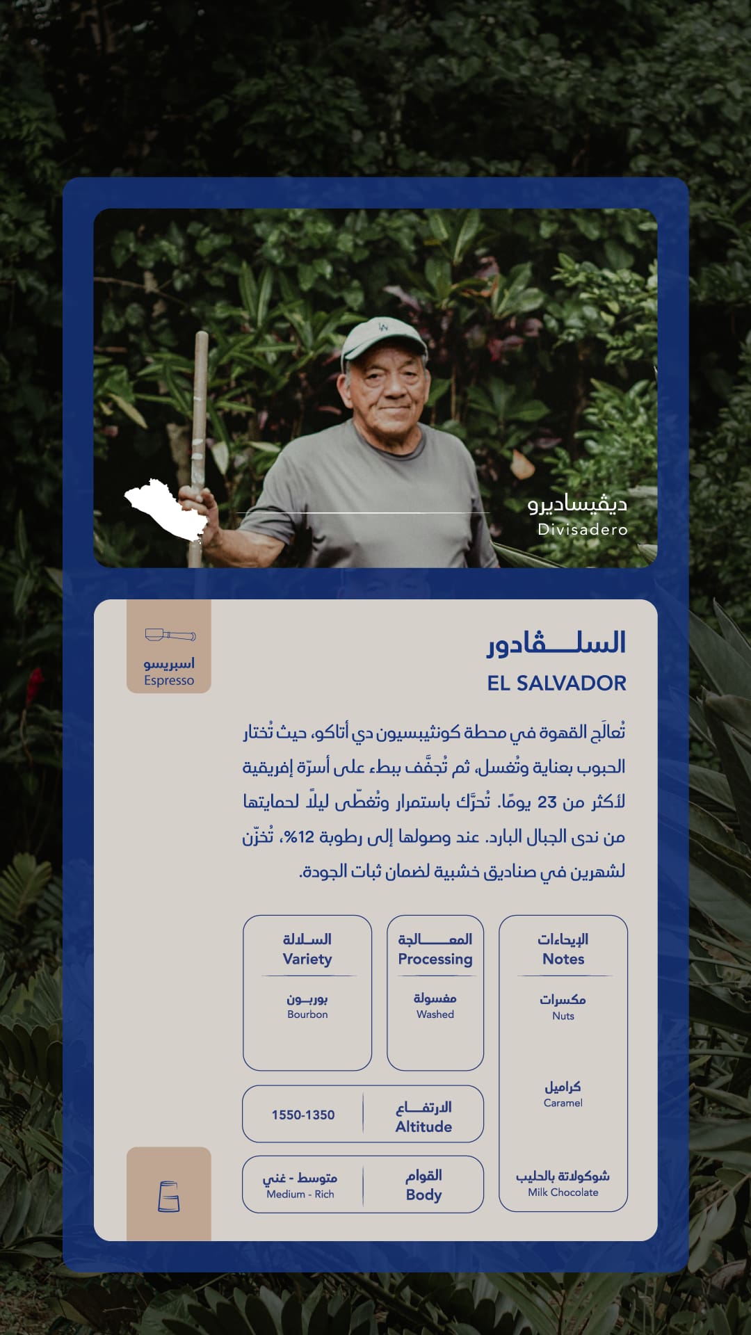 سلفادور ديفيساديرو - صواع | DIVISADERO - SUWAA